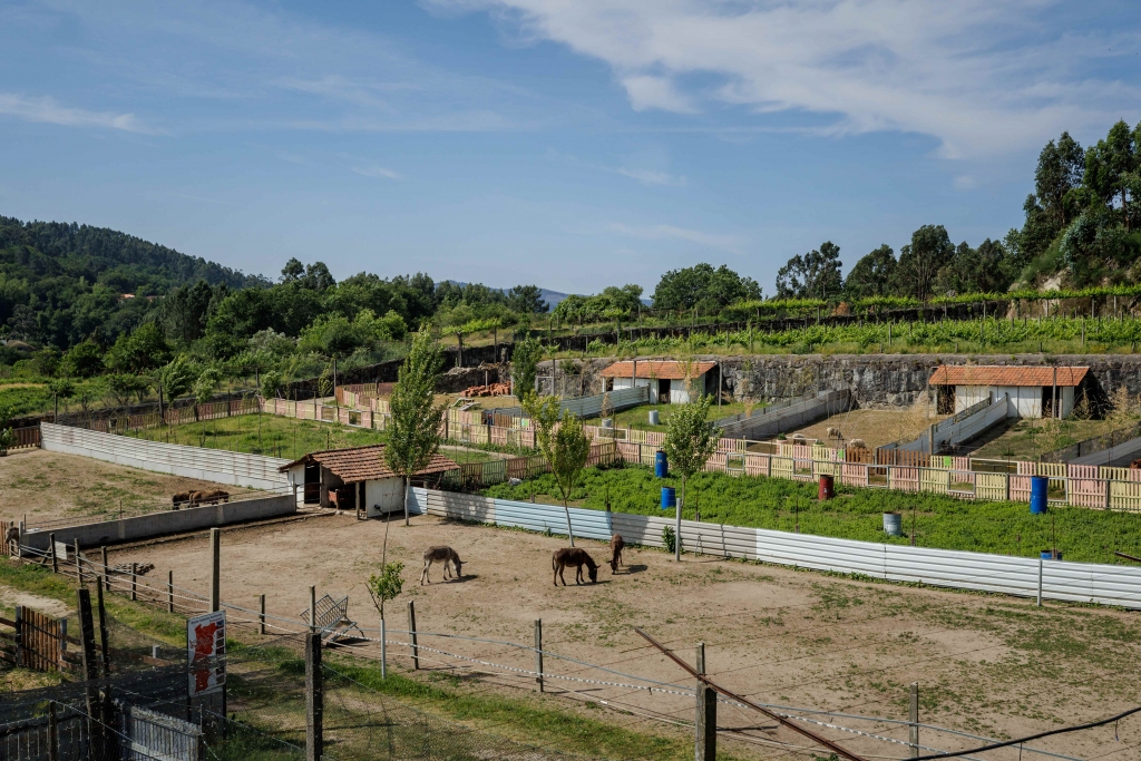 A Quinta das Manas em Guimarães faz o convite para interagir os