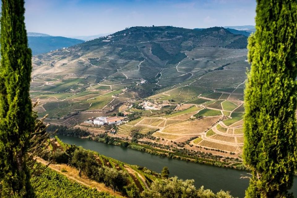 Melhores Hotéis e Quintas do Douro: onde ficar a dormir numa escapadinha no  Douro - VagaMundos