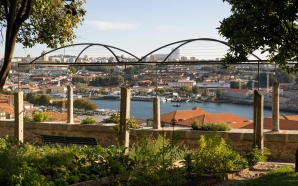 Jardins Abertos chega ao Porto com visitas guiadas aos espaços…